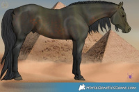 Horse Color:Brown 