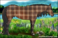 Horse Color:Plaid Bay