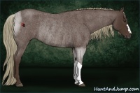 Horse Color:Liver Red Roan Rabicano