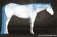 Horse Color:Watercolor White Spotted Black 