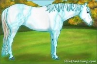 Horse Color:Thunderstruck Buckskin Ice Appaloosa Rabicano