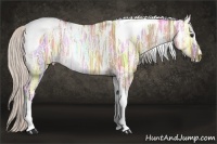 Horse Color:Silver Bay Ice Dun Tobiano