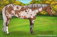 Horse Color:Silver Bay Ice 