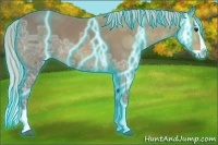 Horse Color:Thunderstruck Silver Buckskin Ice Splash 