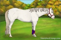 Horse Color:Smoky Creme Roan Dun 
