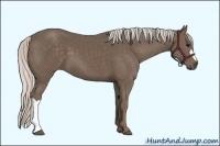 Horse Color:Silver Black 