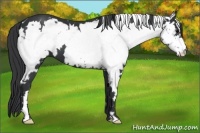 Horse Color:White Spotted Black Frame 