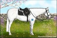Horse Color:Cremello Sabino  Brindle