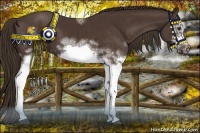 Horse Color:White Spotted Liver Chestnut Frame