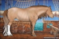 Horse Color:Brown Pearl Rabicano