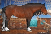 Horse Color:Bay Rabicano 