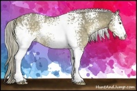 Horse Color:White Spotted Chocolate Palomino Rabicano