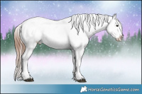 Horse Color:White Spotted Brown Appaloosa Rabicano 