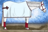 Horse Color:White Spotted Buckskin Splash Appaloosa 
