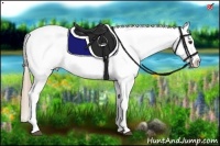 Horse Color:Red Dun Tobiano Appaloosa