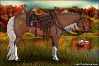 Horse Color:Silver Bay 