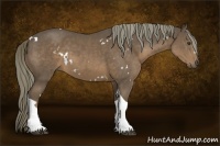 Horse Color:White Spotted Liver Chestnut Tobiano 