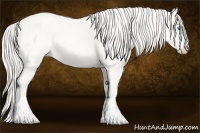 Horse Color:Cremello Dun 