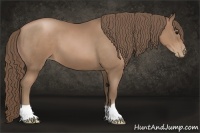 Horse Color:Black Pearl 