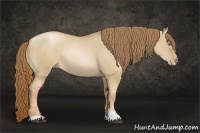 Horse Color:Red Dun Pearl Sabino Rabicano