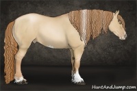 Horse Color:Red Dun Pearl Sabino Rabicano