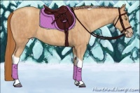 Horse Color:Gold Champagne Tobiano  Brindle