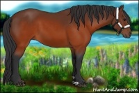 Horse Color:Brown 