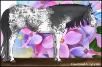 Horse Color:White Spotted Black Ice 