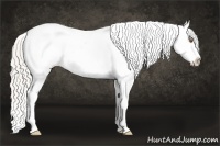 Horse Color:Silver Black Pearl Sabino Splash Tobiano Appaloosa Rabicano