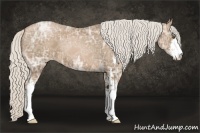 Horse Color:Silver Black Ice Pearl Sabino
