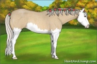 Horse Color:Silver Buckskin Roan Dun Splash 