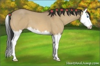 Horse Color:Bay Roan Dun Splash