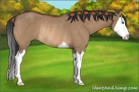 Horse Color:Bay Roan Dun Splash Rabicano 