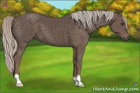 Horse Color:Silver Black 