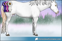 Horse Color:Brown Roan Pearl Appaloosa