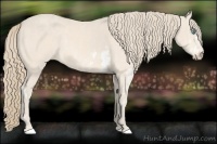 Horse Color:Perlino Sabino  Brindle