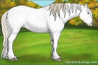Horse Color:Smoky Creme Sabino  Brindle