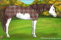 Horse Color:Plaid  Liver Chestnut Splash Rabicano 