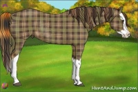 Horse Color:Plaid  Liver Chestnut Splash Rabicano 