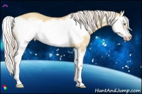Horse Color:Silver Amber Champagne Dun Splash Frame 