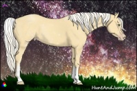Horse Color:White Spotted Gold Cream Champagne