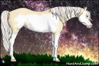Horse Color:Silver Amber Cream Champagne Dun Splash Frame