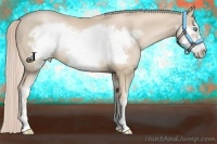 Horse Color:Palomino Pearl Sabino Frame 