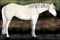 Horse Color:Cremello Sabino Brindle