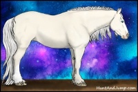 Horse Color:Silver Perlino Dun