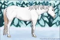 Horse Color:White Spotted Buckskin Tobiano Appaloosa 
