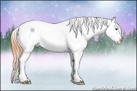 Horse Color:Buckskin Tobiano Snowcap