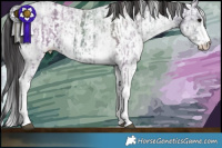 Horse Color:Smoky Black Ice Sabino and Smoky Black Ice Sabino