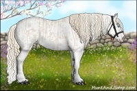 Horse Color:Smoky Creme Sabino and Smoky Creme Sabino
