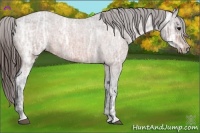 Horse Color:Brown Ice Roan Varnish